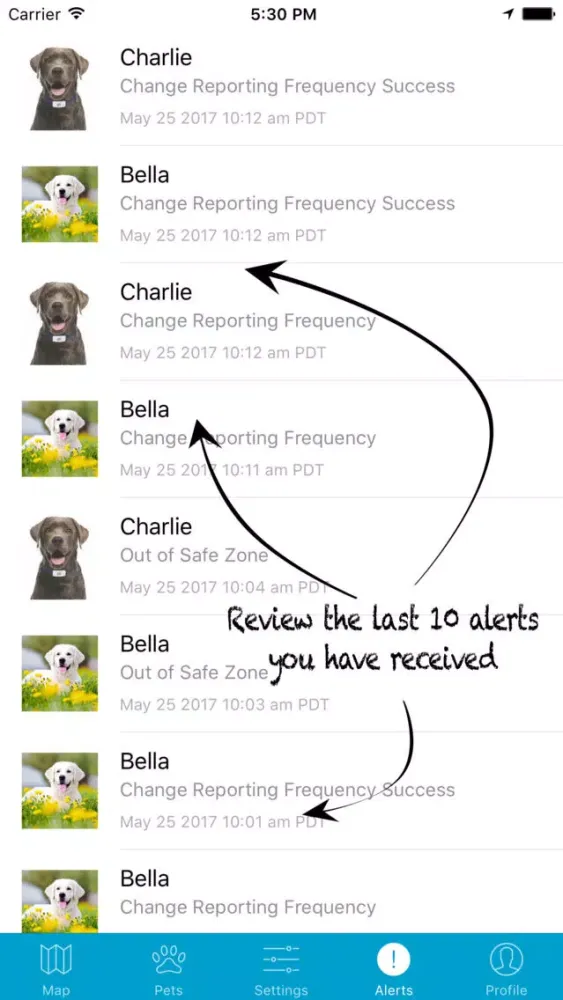 Screenshot di Gibi Pet GPS Tracking Service