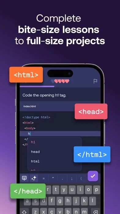 Mimo: Learn Coding/Programming应用截图