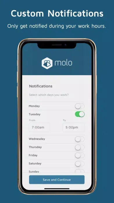 Ảnh chụp màn hình của Molo Service