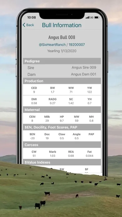 Capturas de tela do BullPEN: A Beef Cattle App