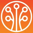 Pando - Group Stories