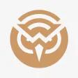 Winsight Winsight