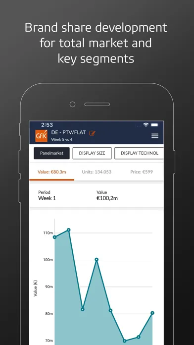 Screenshot di GfK Performance Pulse