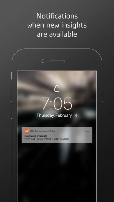 Screenshot di GfK Performance Pulse