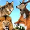 Wild Animal Hunting Game: Dragon,Wolf,Eagle Hunter