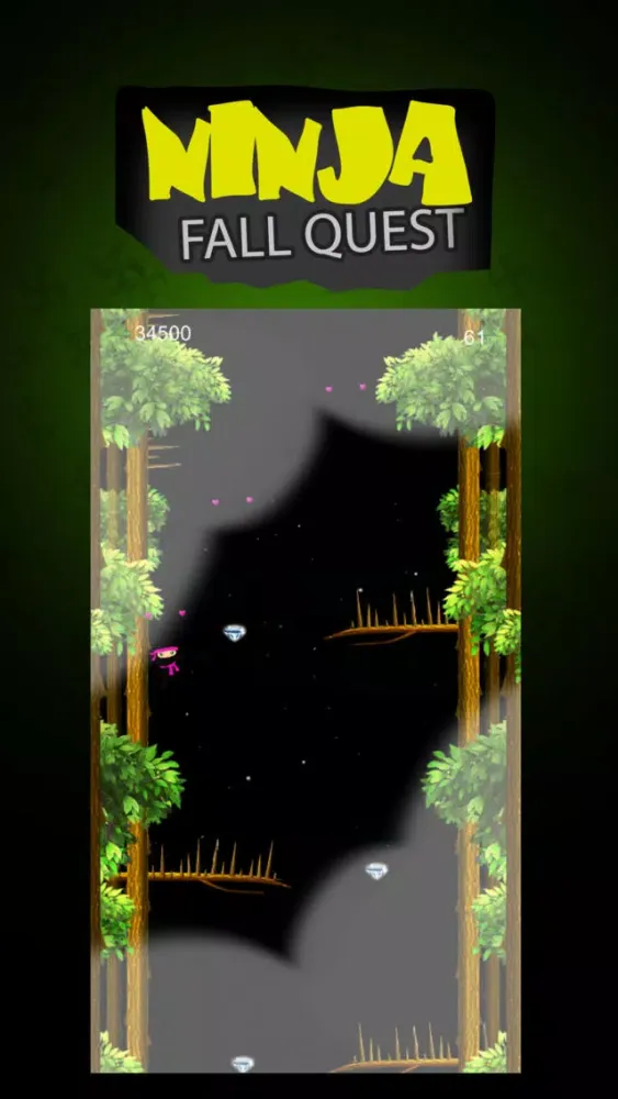 ภาพหน้าจอของ Ninja Fall Quest