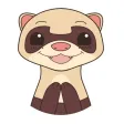 YouFerret - cute ferret animal