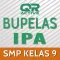 QRActive Bupelas IPA 9