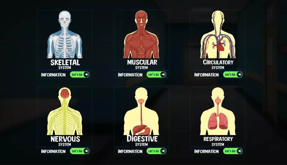Body Scanner - Xray Game Scan Screenshots