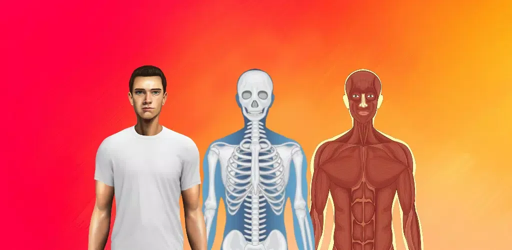 Body Scanner - Xray Game Scan Screenshots