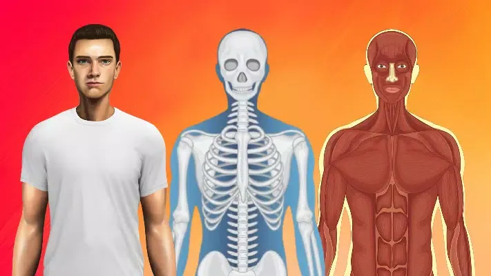 Body Scanner - Xray Game Scan Screenshots