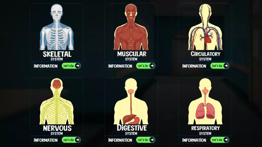 Body Scanner - Xray Game Scan Screenshots
