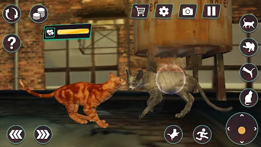 Cat Fighting Battle: Tom Games Ekran Görüntüleri