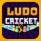 Ludo Cricket T20