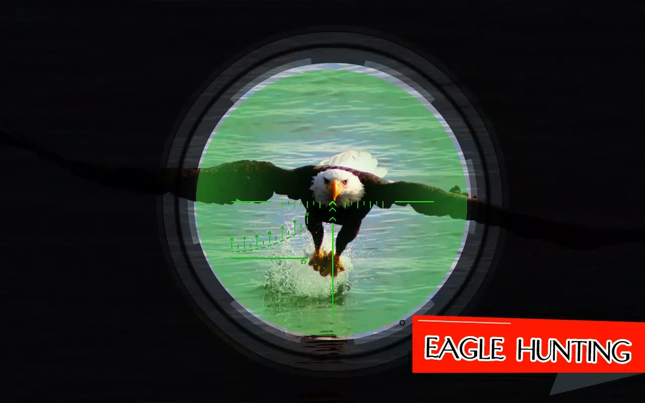Zrzuty ekranu Bird Hunting Master