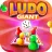 Ludo Giant Ludo Giant
