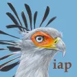 Roberts Bird Guide 2 iap Roberts Bird Guide 2 iap