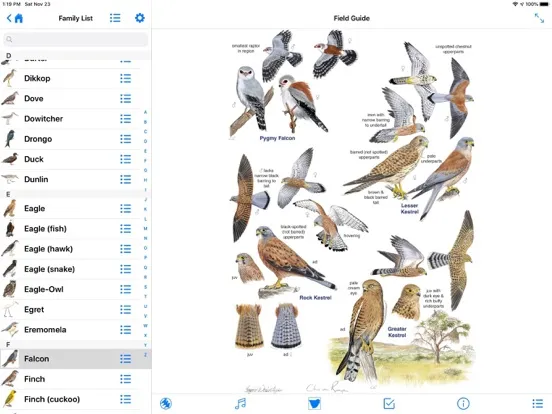 Zrzuty ekranu Roberts Bird Guide 2 iap iPad 