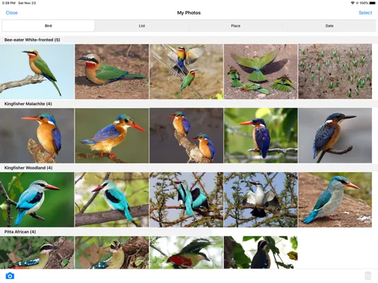 Zrzuty ekranu Roberts Bird Guide 2 iap iPad 