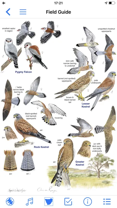 Zrzuty ekranu Roberts Bird Guide 2 iap