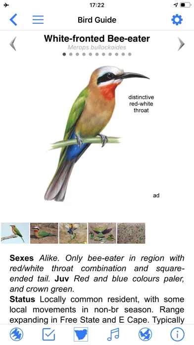 Zrzuty ekranu Roberts Bird Guide 2 iap