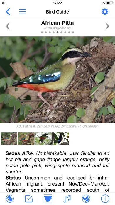 Zrzuty ekranu Roberts Bird Guide 2 iap