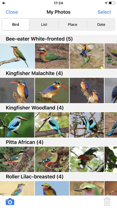 Zrzuty ekranu Roberts Bird Guide 2 iap