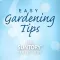 Easy Gardening Tips - Revealed by the breeder