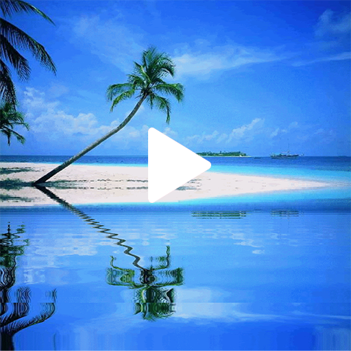 Beach GIF Wallpaper