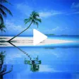 Beach GIF Wallpaper