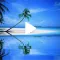 Beach GIF Wallpaper