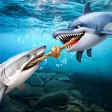 Fish Rush: Obstacle Super Race