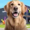 Animal Shelter Dog Rescue Game