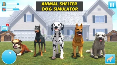Animal Shelter Dog Rescue Game Screenshots