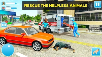 Animal Shelter Dog Rescue Game Screenshots