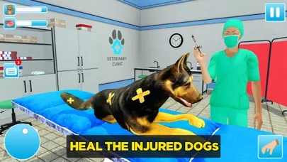 Animal Shelter Dog Rescue Game Screenshots