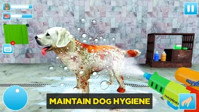 Animal Shelter Dog Rescue Game Screenshots