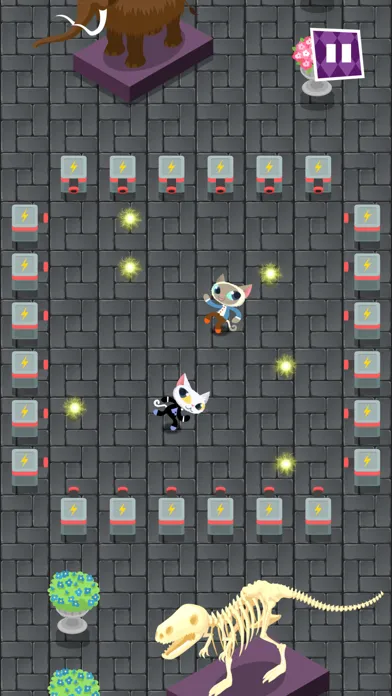 Phantom Cats应用截图