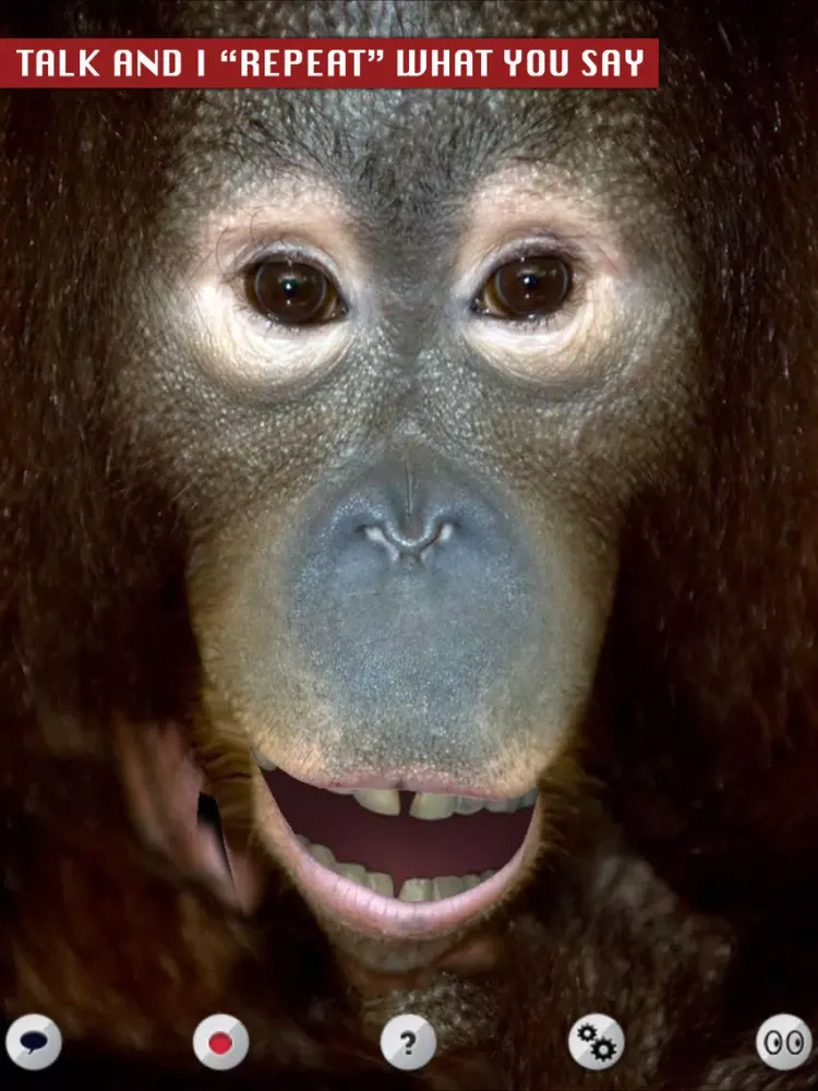 Talking Orangutan iPad  سکرین شاٹس