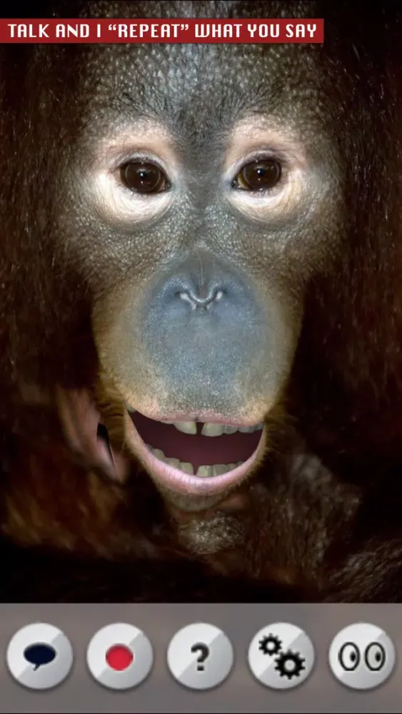Talking Orangutan سکرین شاٹس