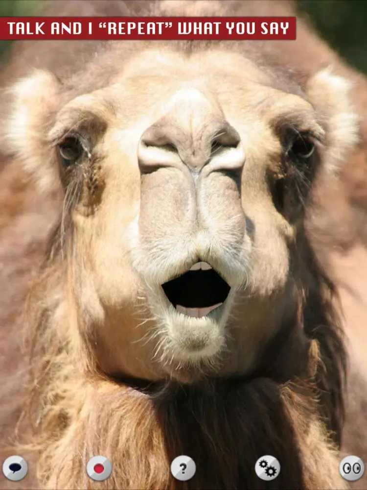 ภาพหน้าจอของ Talking Camel iPad 
