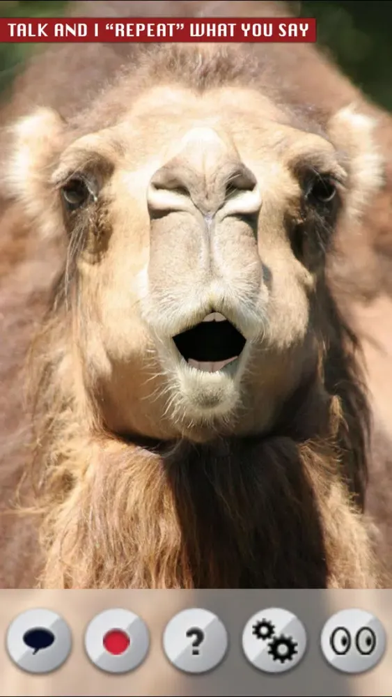 ภาพหน้าจอของ Talking Camel