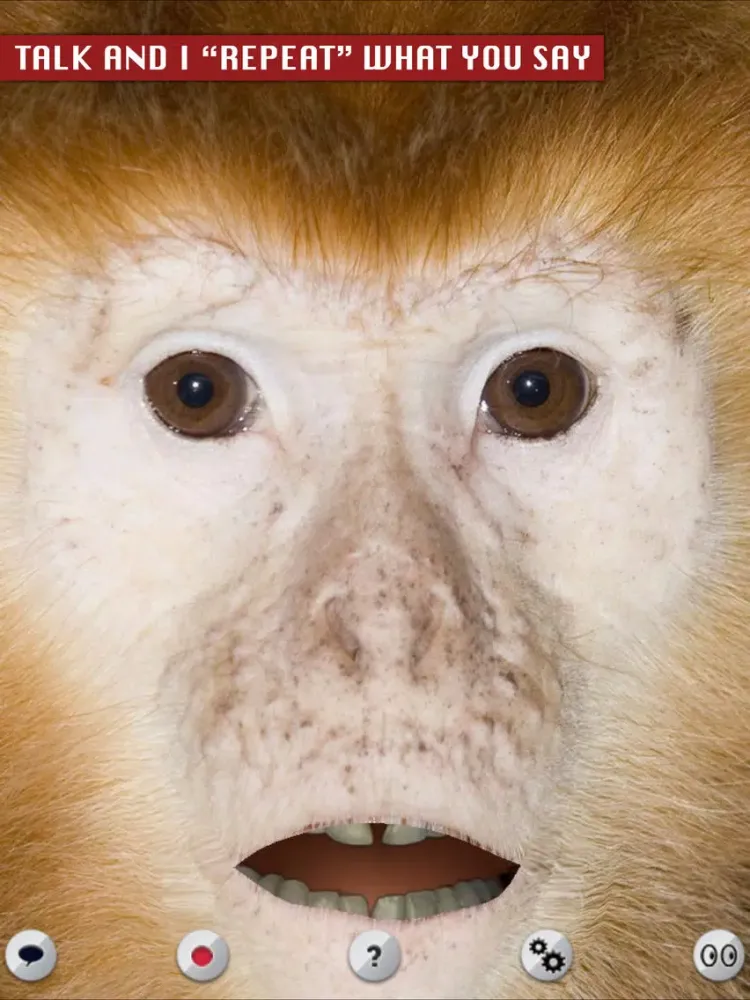 Captures d'écran de Talking Monkey iPad 