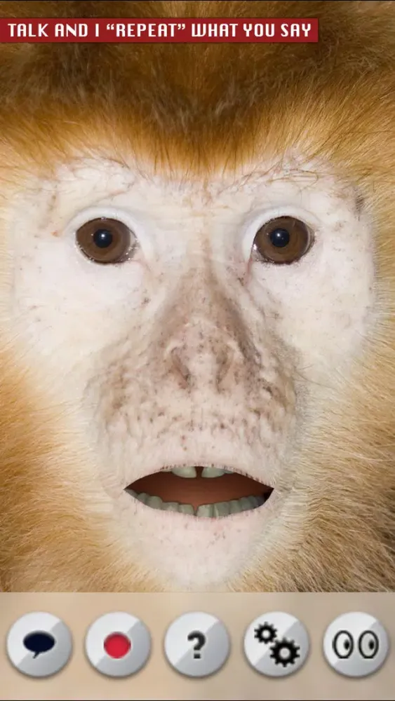 Captures d'écran de Talking Monkey