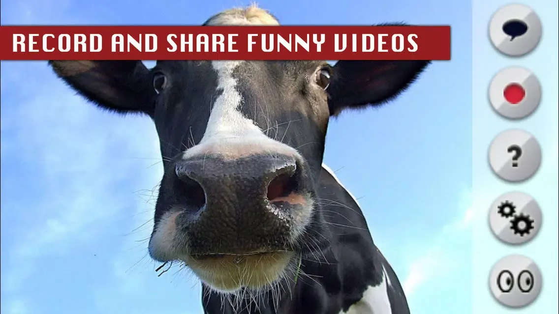 Capturas de tela do Talking Cow