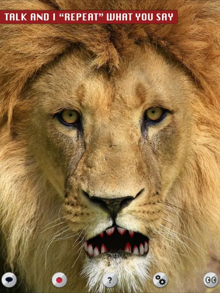 Talking Lion iPad  Screenshots