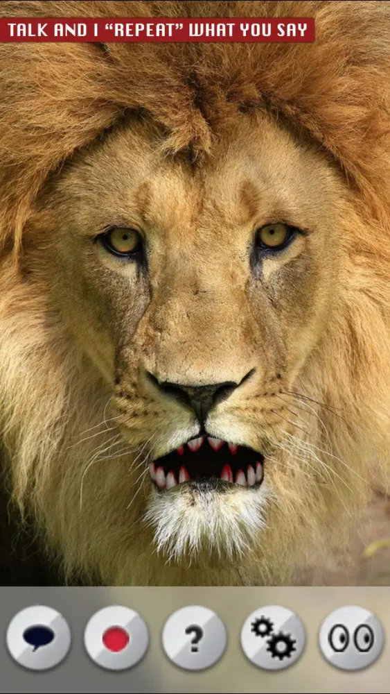 Talking Lion Screenshots