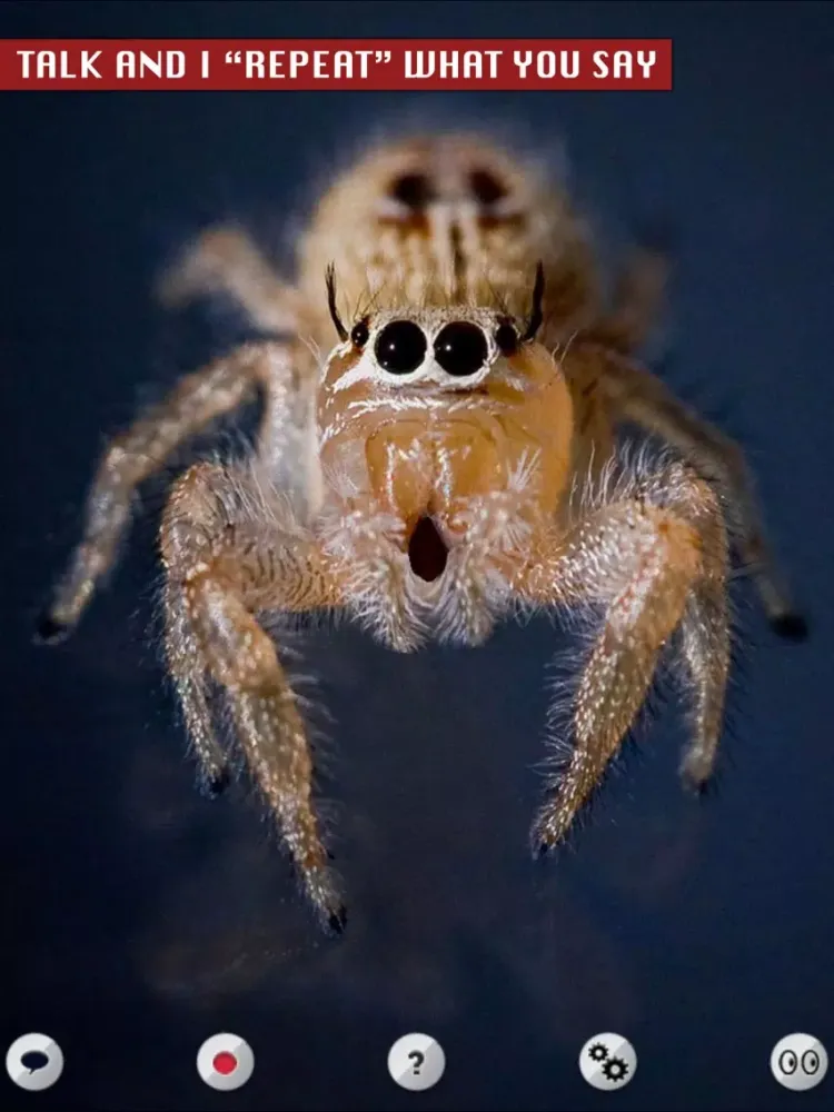 Talking Spider iPad 應用截圖