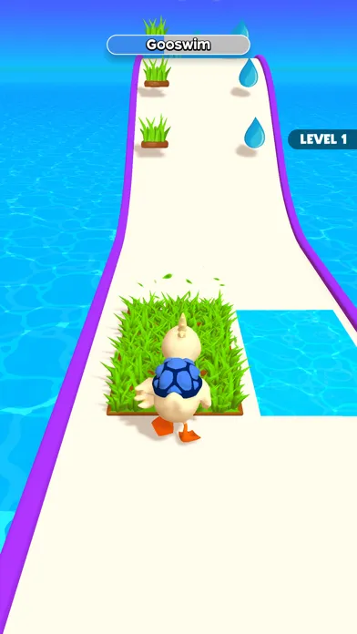 Evolving Run Screenshots