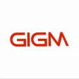 GIGM Ambassador